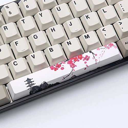 Bene Technology (HongKong) Company Limited Spacebar Keycap - 5-Side Dye-subbed PBT Cherry Profile 6.25U