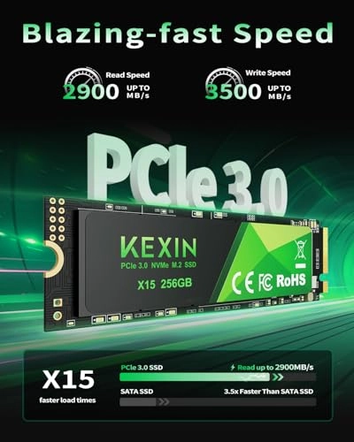 X15 - 256GB M.2 2280