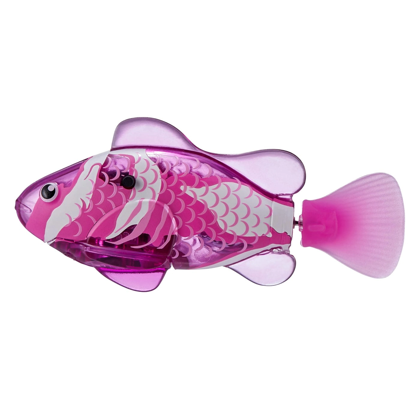 Robo Fish - Water Activated Color Changing