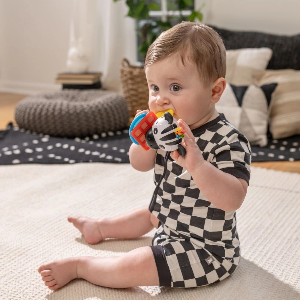 Shake-a-Shape Zen - 2-in-1 Teether Rattle