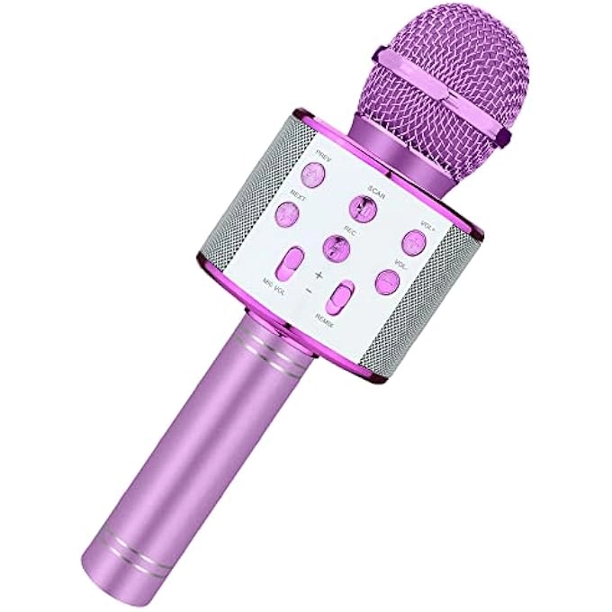 rayihni Karaoke Microphone Pack