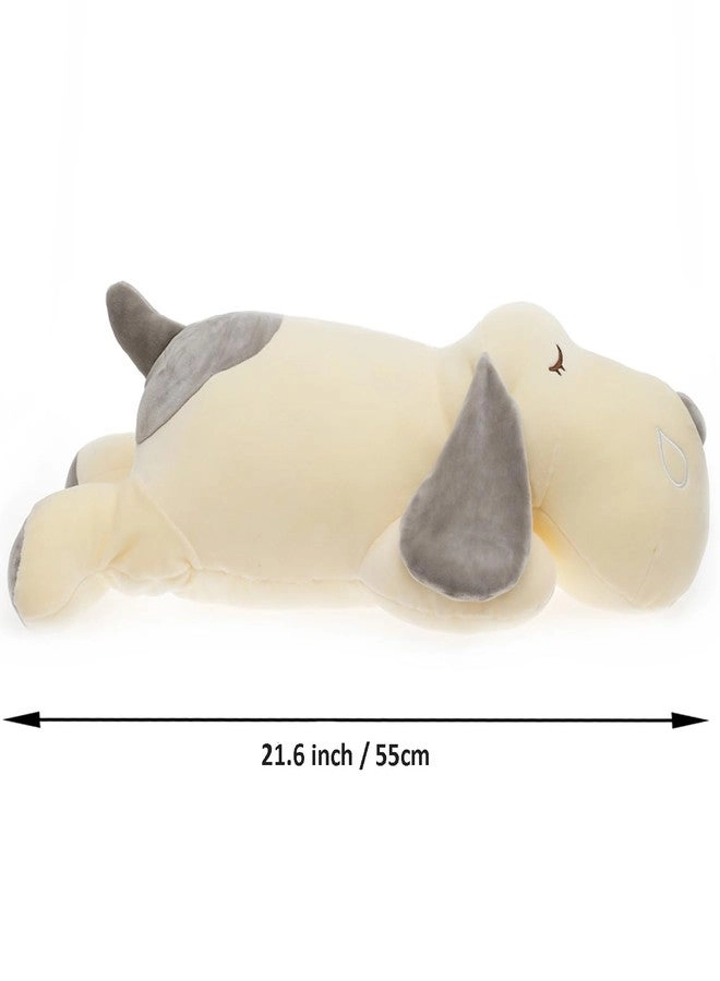 Dog - 55 cm