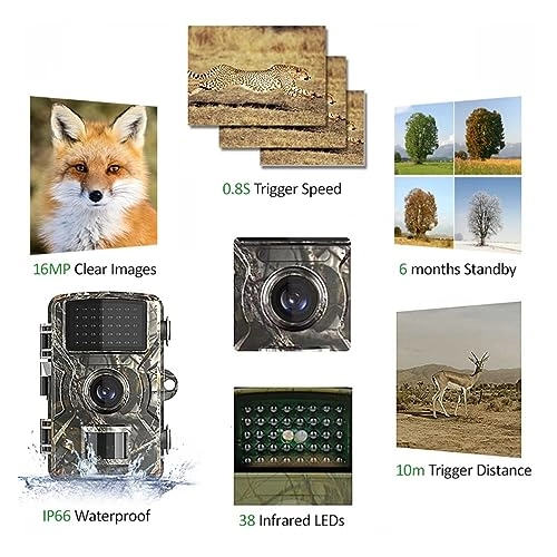 Wildlife Hunting Camera 1080p