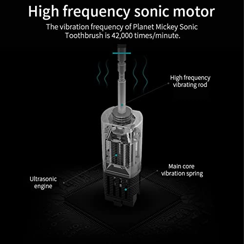 Electric Toothbrush - IPX7 4 Replacement Heads 500mAh