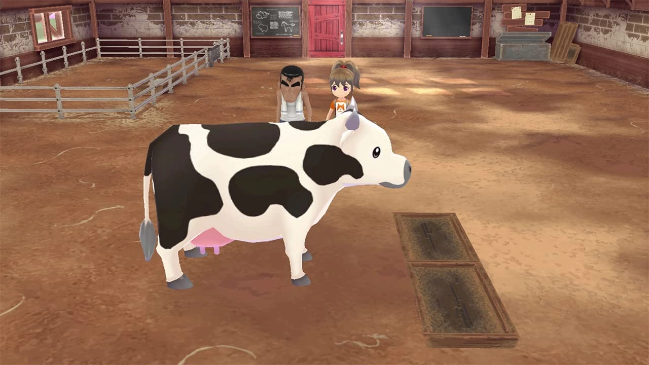 Story of Seasons: A Wonderful Life | Nintendo Switch