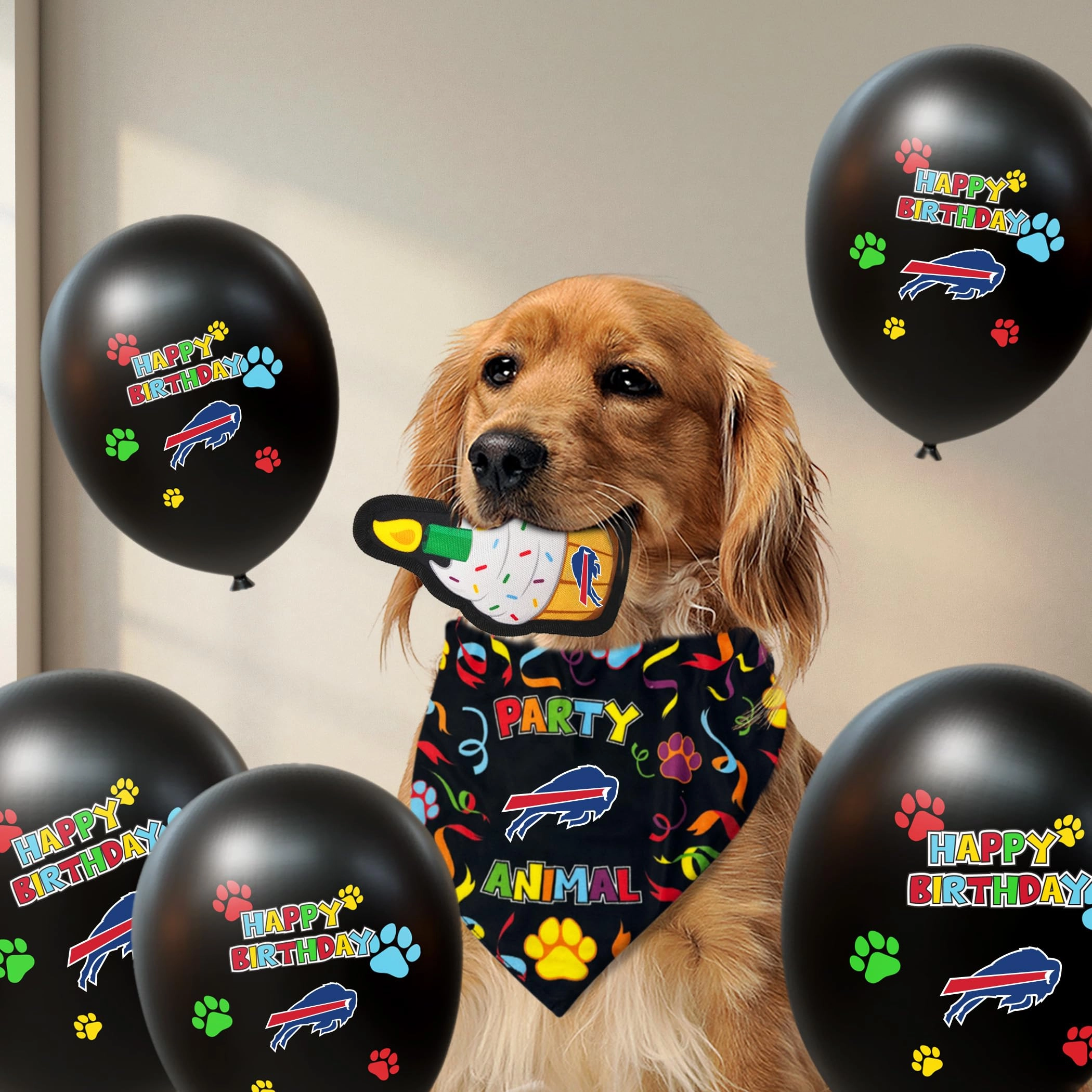 BUF-B-Day-1-S - 1 Count Dog Small/Medium