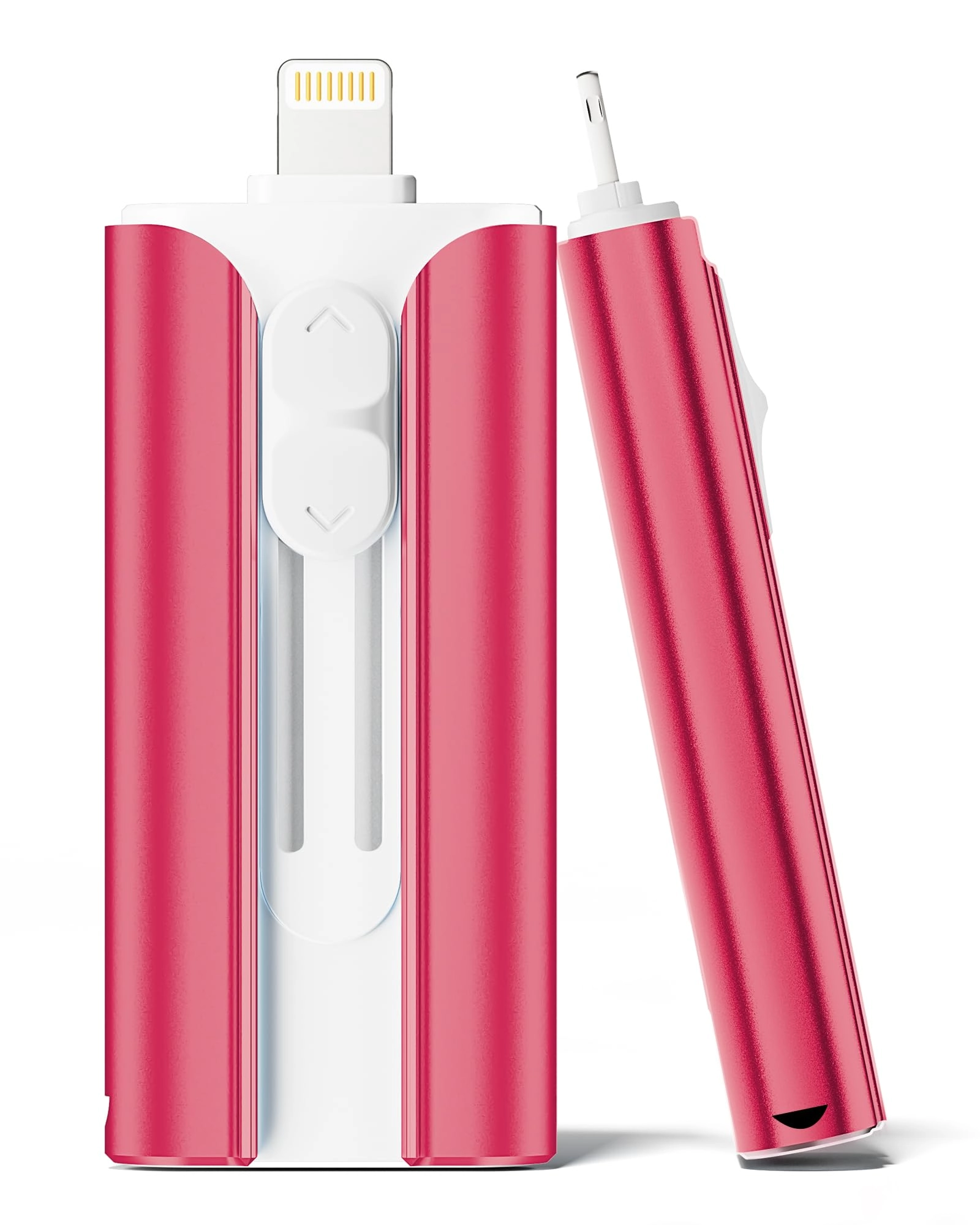 USB C Stick - Lightning 256GB
