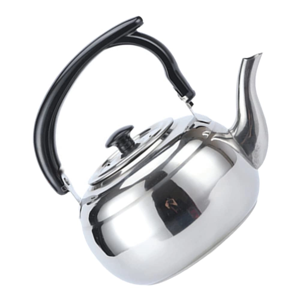 GaRcan Stove Top Kettle - Stainless Steel Silver