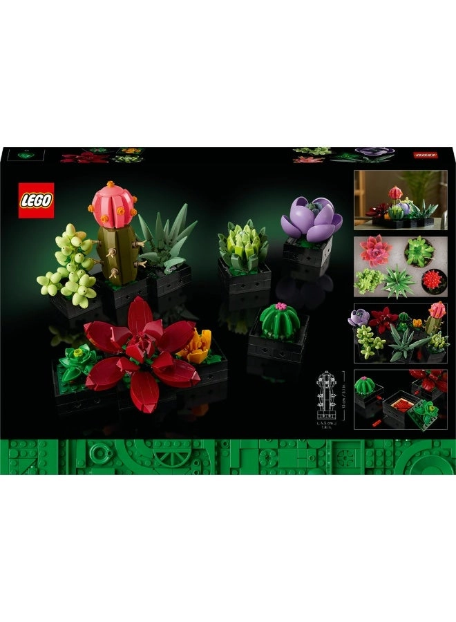 Succulents (10309) - Flowers