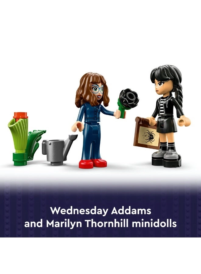 Wednesday Black Dahlia Flower