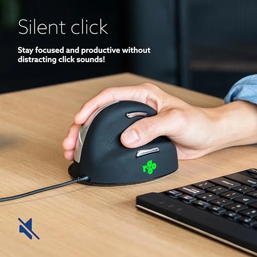 HE Ergonomic Mouse (Large, Right Handed) - USB