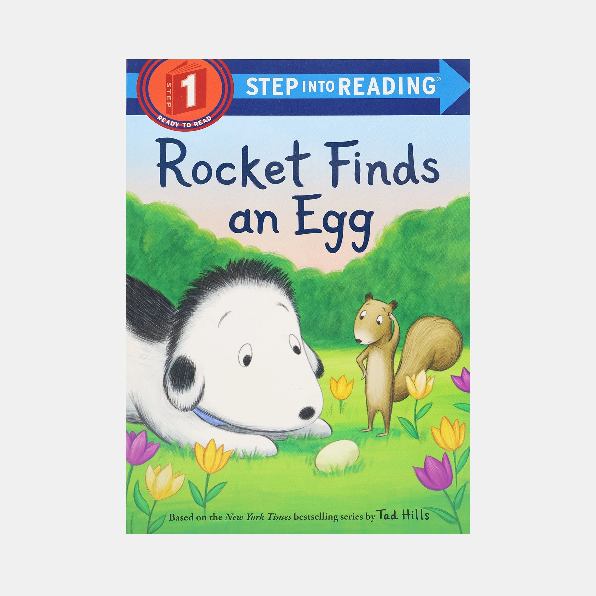 Rocket Finds an Egg