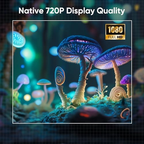 TD0341HW 1920 x 1080 Pixels