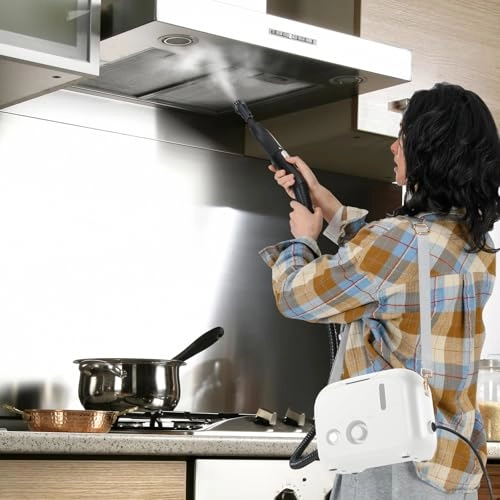 dampfreiniger boden - 3 bar 1 L