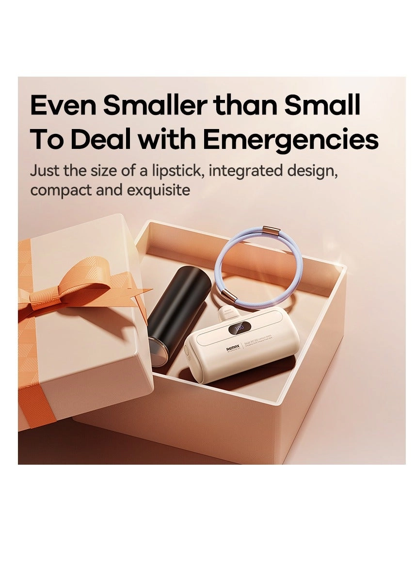 RPP-76 - 5000 mAh 20 W