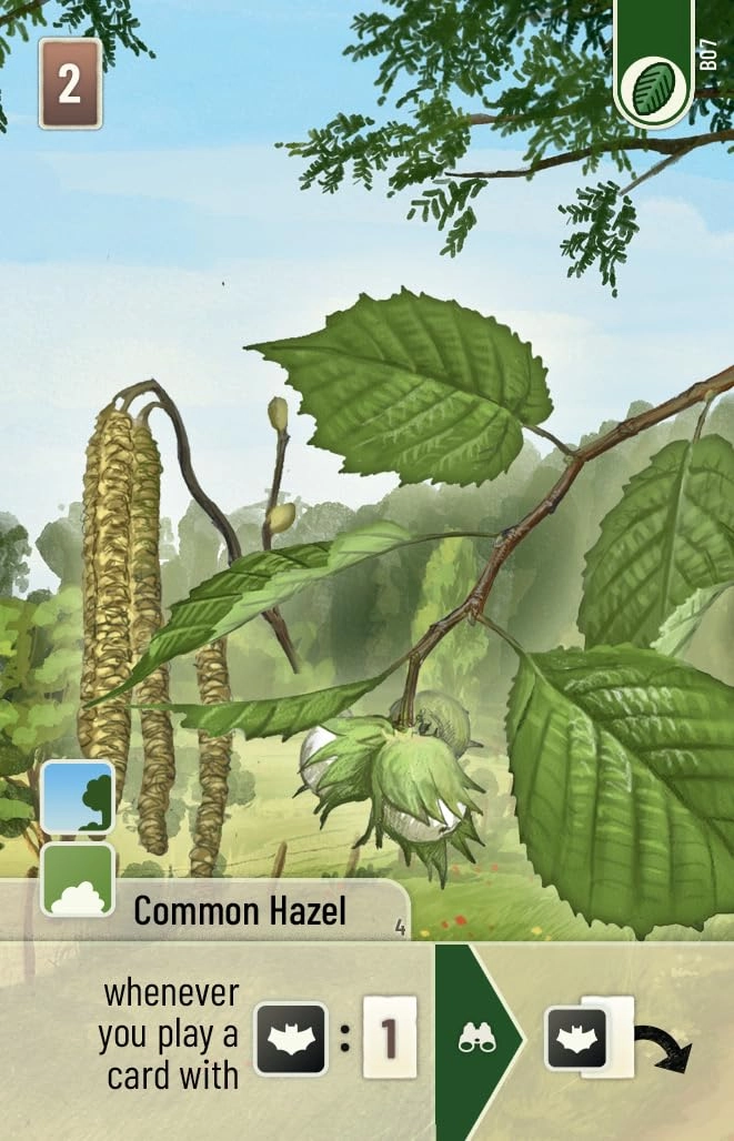 Forest Shuffle: Alpine