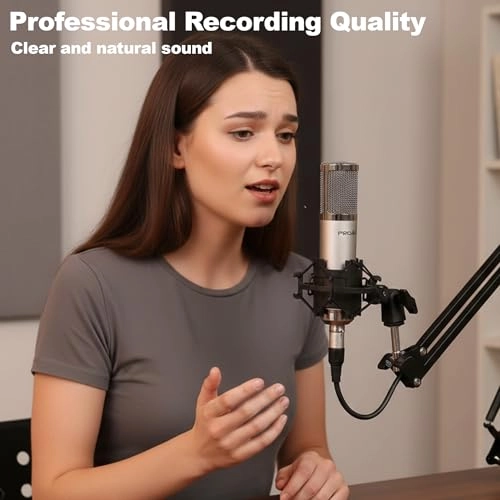 Condenser Microphone XLR Microphone