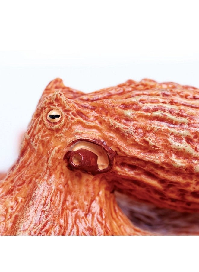 Giant Pacific Octopus