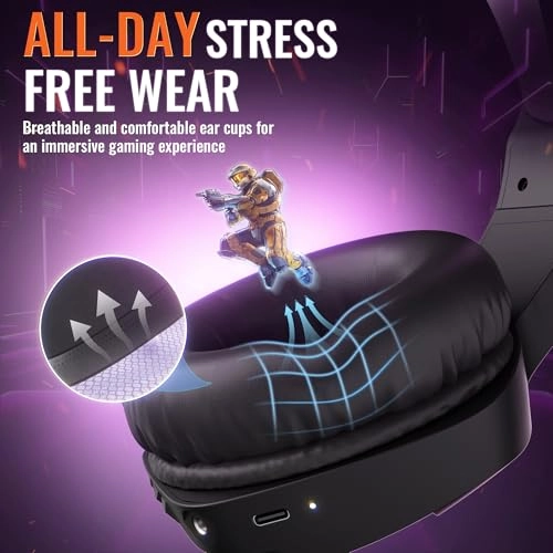 BW01-BT Wireless Headset