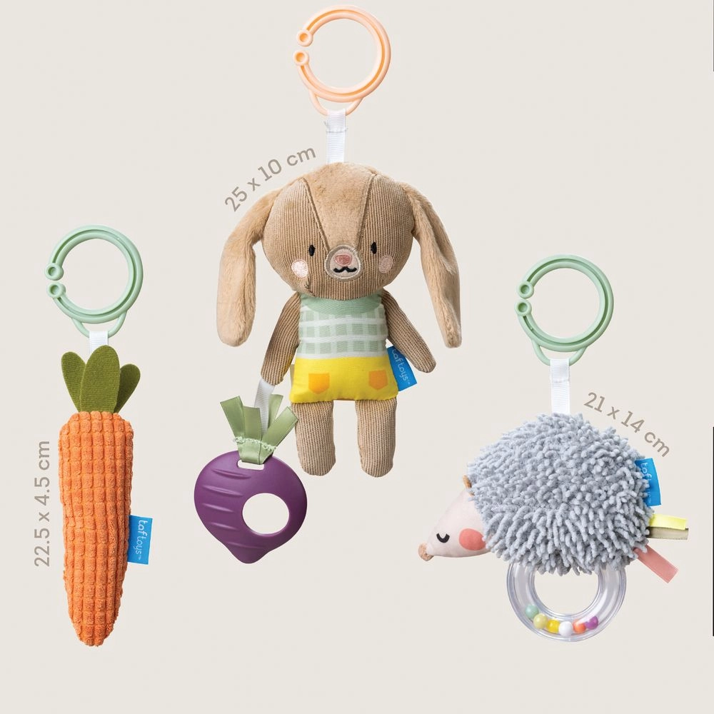 Jenny The Bunny + Spike The Rattle Hedgehog + Crinkle Carrot - 0 month