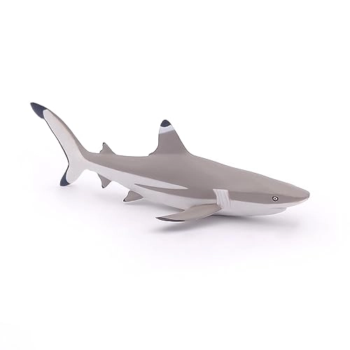 Marine Life - Blacktip Reef Shark (56034)