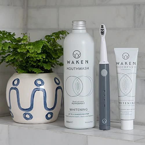 Sonic Electric Toothbrush - Graphite Grey Battery Powered