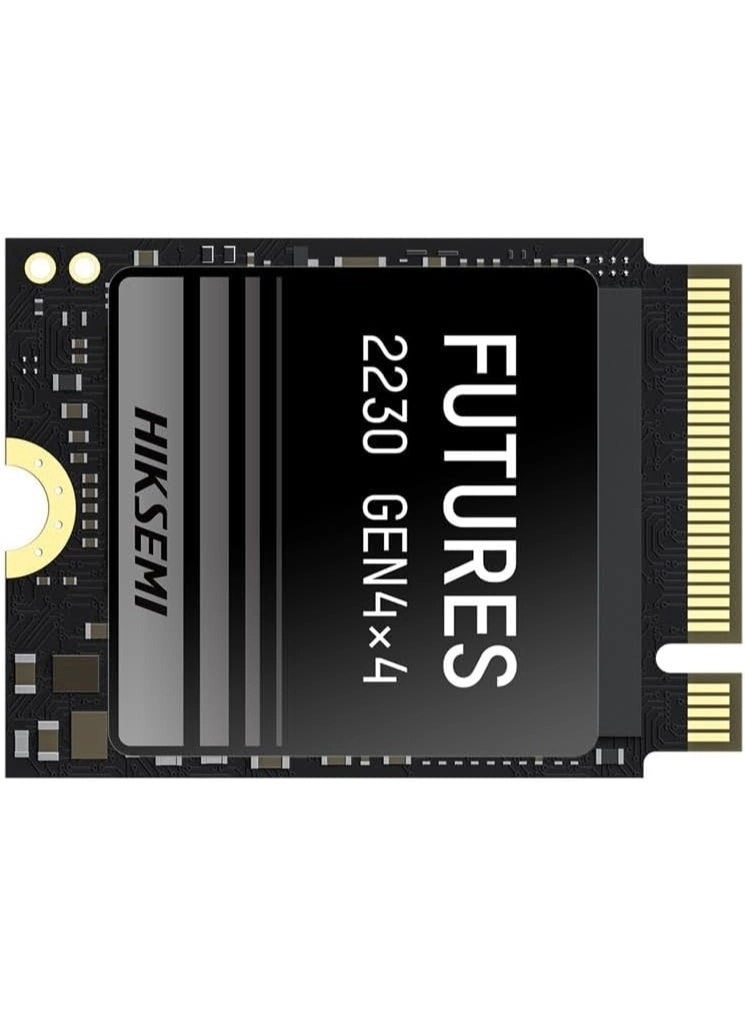 FUTURES - 1024GB M.2 2230