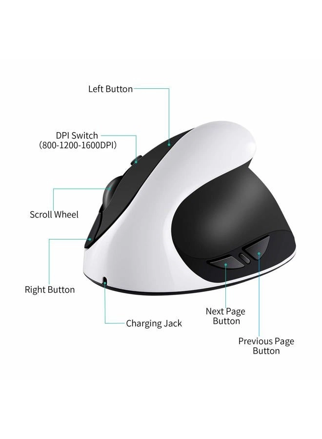 S8 - Wireless