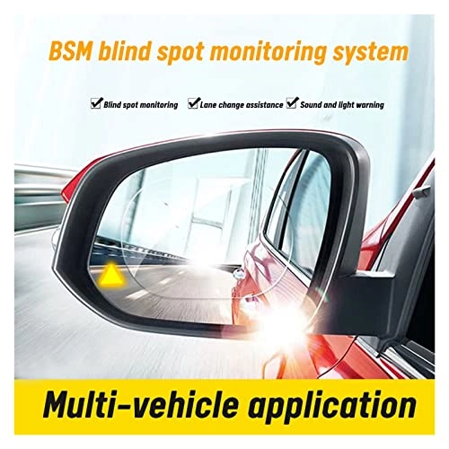 Blind Spot Detection System