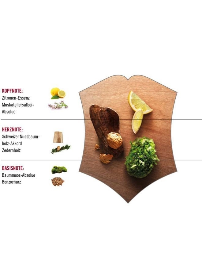 Wood Eau de Toilette 100 ml