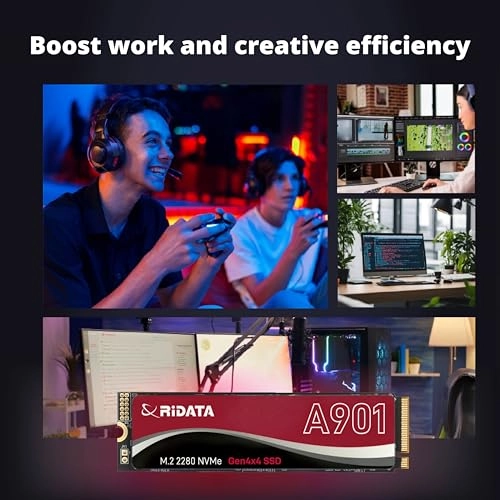 A901 - 500 GB M.2 2280