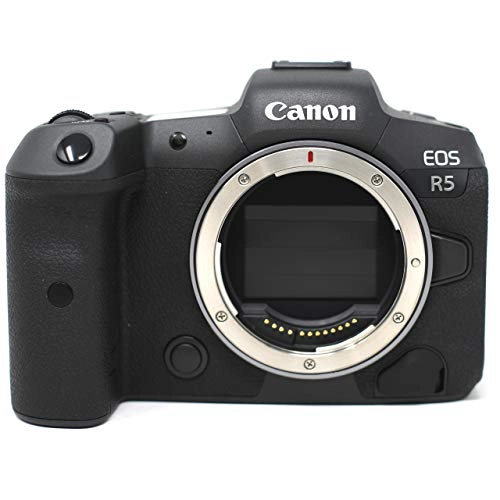 Camera Bag - 260 x 160 x 200 mm + R5 - 45MP Full-Frame + RF 24-105 f/4L Lens + R Mount Adapter