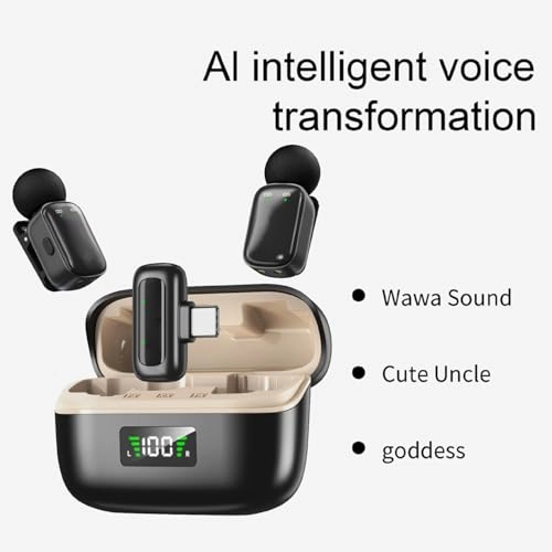 ASHATA5rivakgsmt-12 USB+Wireless Microphone