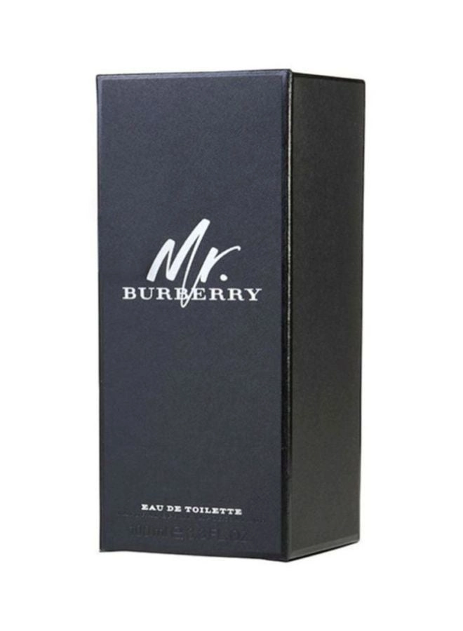 Mr.Burberry Eau de Toilette 100 ml