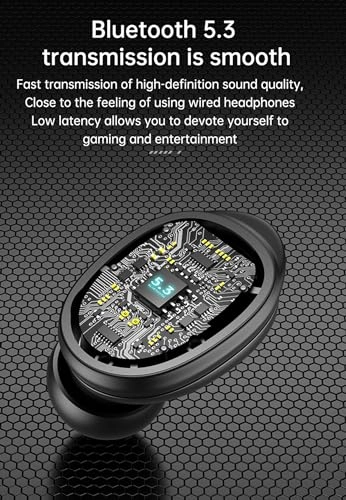 HEEARWI13 Wireless Earbud