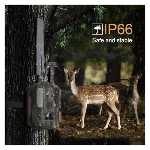 Trail Camera - 4G 14MP