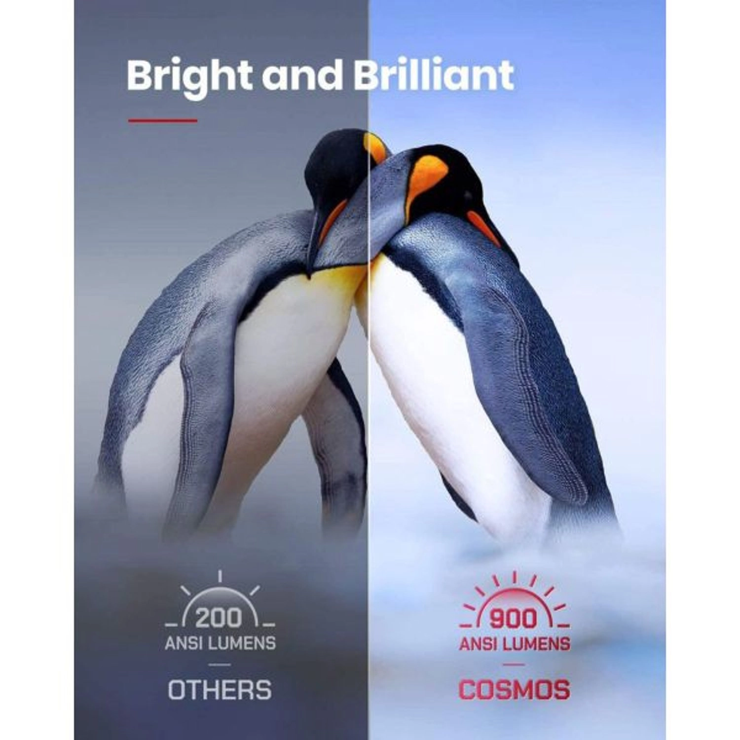 Nebula Cosmos D2140211 900 ANSI lumens