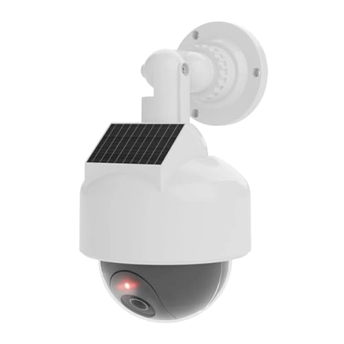 Fake Dome Camera - outdoor