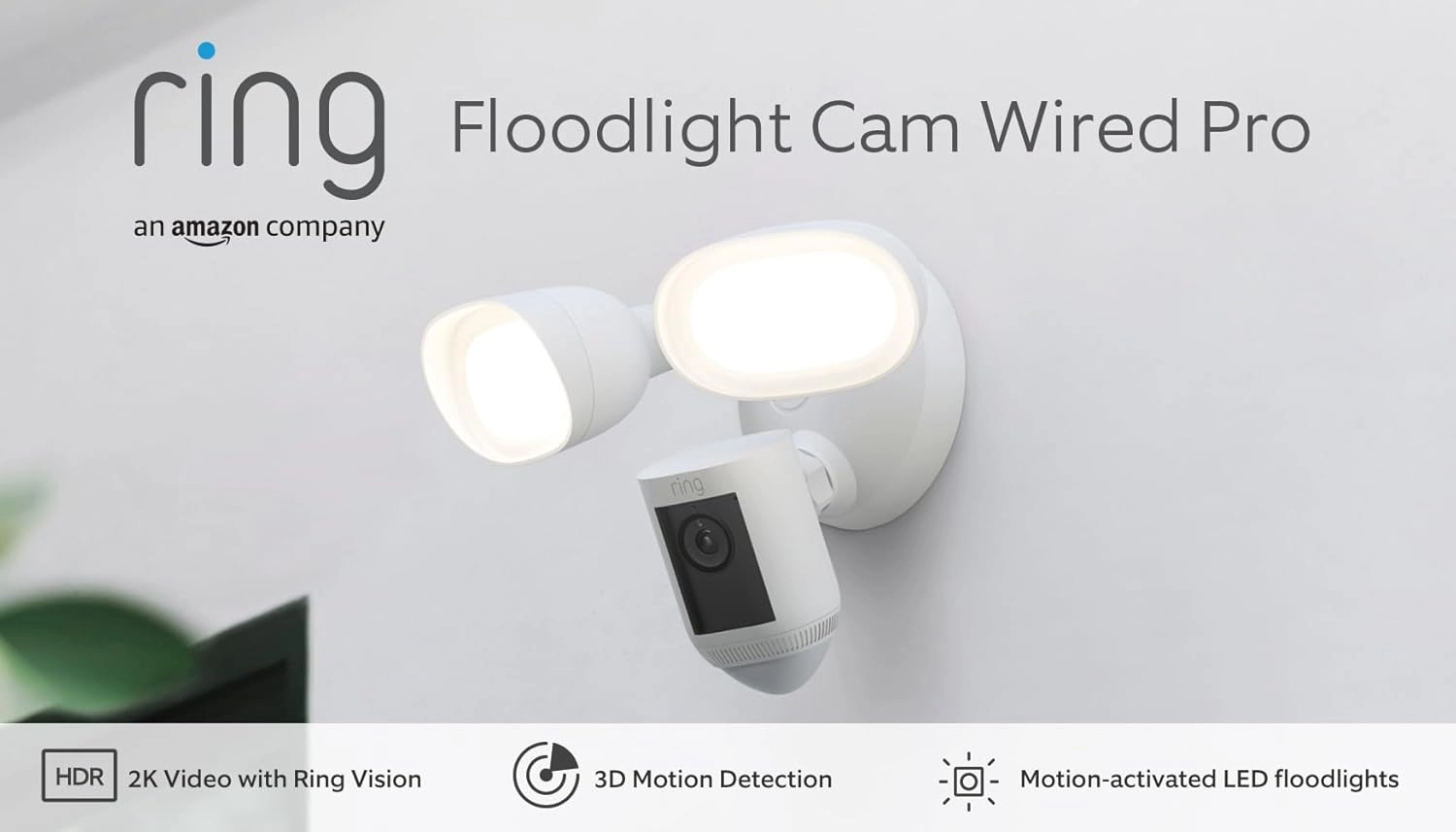 Floodlight Cam Wired Pro