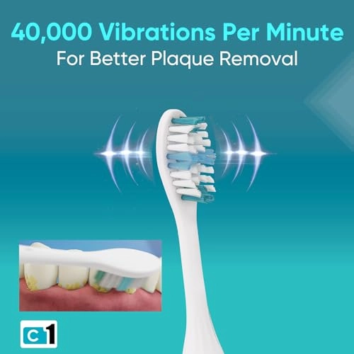 CareOne C1 - 2 Min Auto-Timer 3 Brush Head Battery Powered
