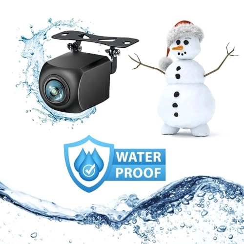 DLD01 - Night Vision RCA