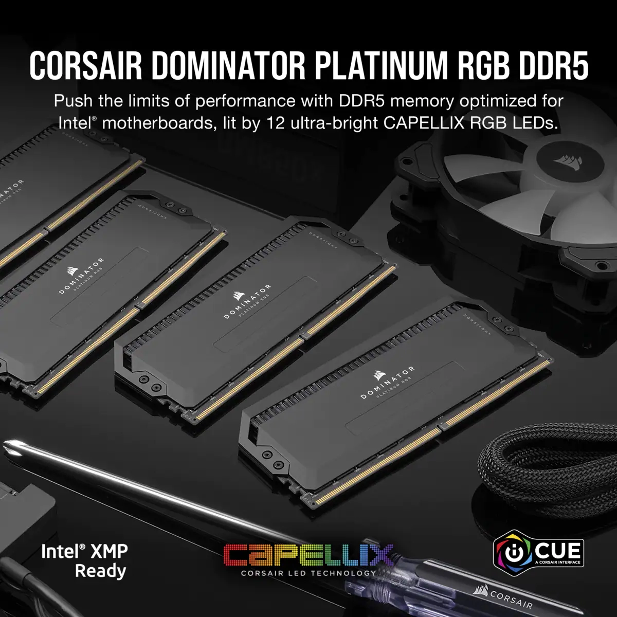 Dominator Titanium - 64GB 6000MHz 288 Pin DDR5