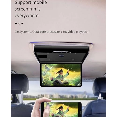 Car ceiling display - 15.6-inch 17.3-inch