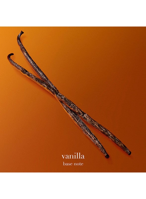 Stronger With You Eau de Parfum 100 ml