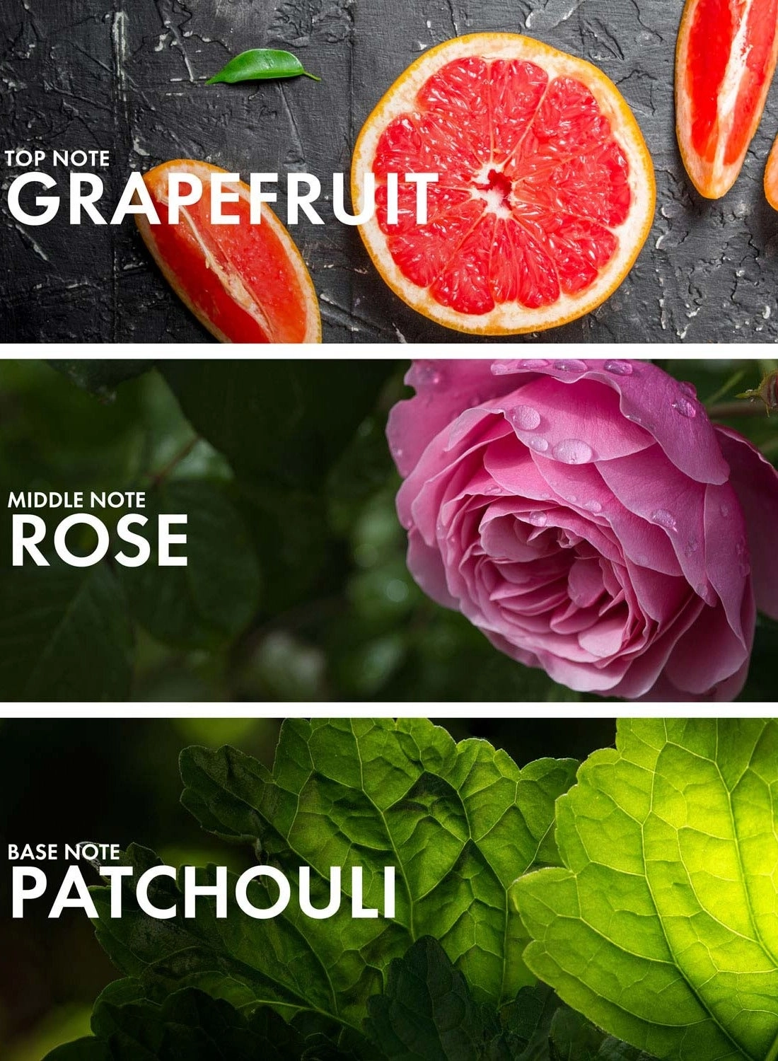 Grapefruit Patchouli Eau de Parfum 50 ml