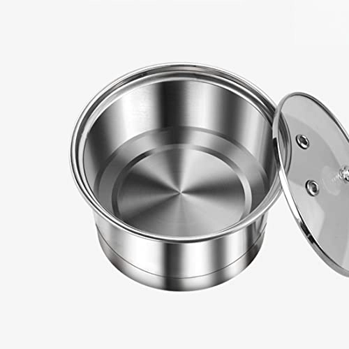 Temperature Control Electric Kettle