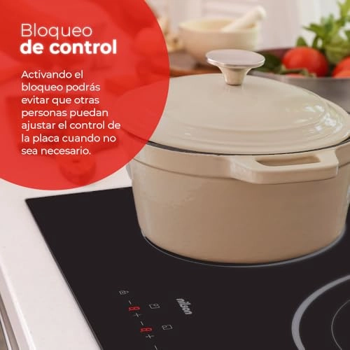 NI3600 Induction hob