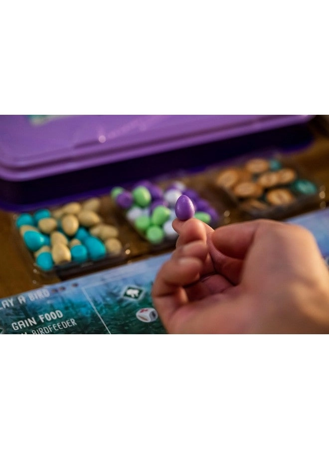 Wingspan: European Expansion