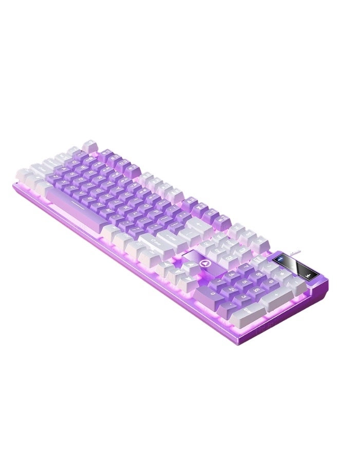 Rainbow Light-104 - Wired