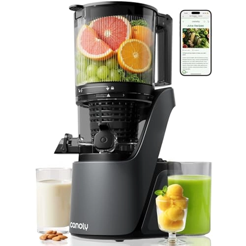 Juicer - 250 watts 2.6 Liters
